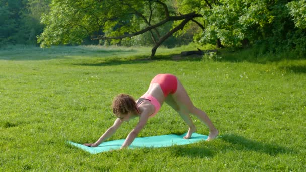 Mujer joven haciendo deportes en la naturaleza — Vídeo de stock