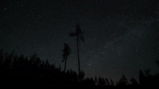 Timelapse of moving stars in night sky — Stock Video