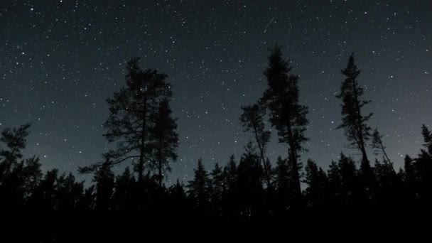 Imelapse van bewegende sterren en wolken aan de nachtelijke hemel — Stockvideo