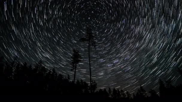 Kometenförmige Sternenspuren am Nachthimmel — Stockvideo
