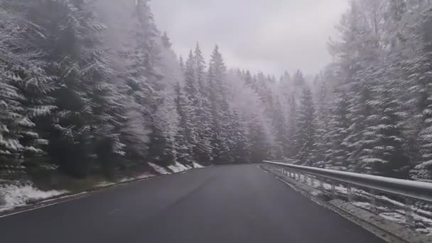 Rijden op de winterbosweg — Stockvideo