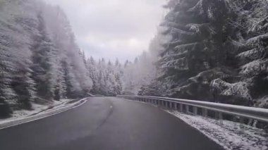 Kış orman yolunda araba sürüyorum.