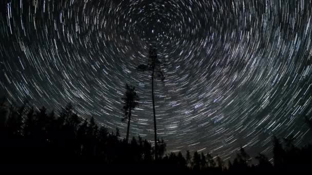 Trilhas de estrelas no céu noturno — Vídeo de Stock