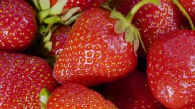 Yavaş çekimde sulu kırmızı olgun organik çilekler dönüyor.