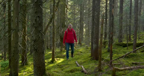 Turista con mochila de senderismo en un viaje de aventura en el paisaje natural — Vídeo de stock