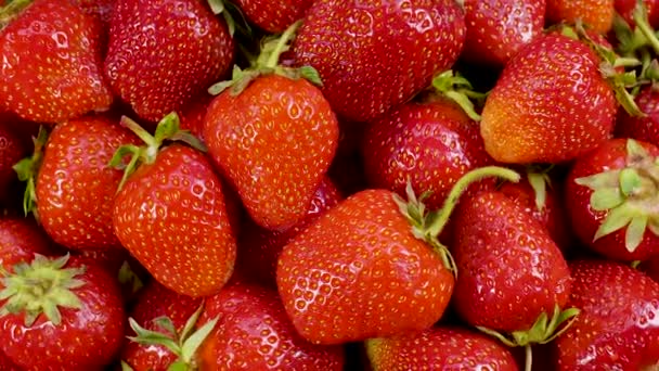 Wolny ruch obrotowy soczystych czerwonych dojrzałych truskawek organicznych — Wideo stockowe