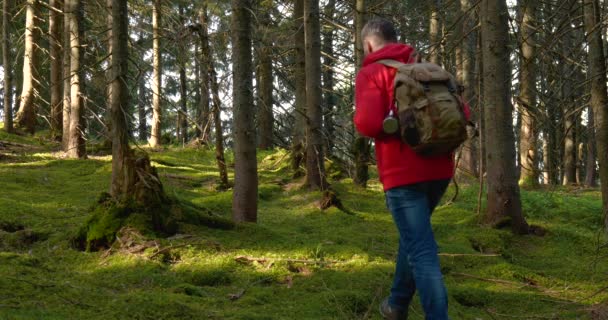 Turista con mochila de senderismo en un viaje de aventura en el paisaje natural — Vídeo de stock