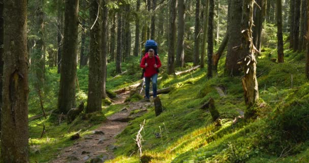 Turista con una mochila camina por un sendero en un hermoso bosque — Vídeo de stock