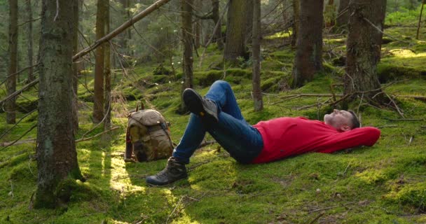 Ragazzo turistico che riposa sul muschio in una bella foresta — Video Stock