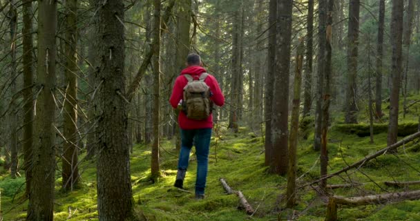 Turista con mochila de senderismo en un viaje de aventura en el paisaje natural — Vídeo de stock