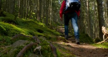 Büyük sırt çantalı turist doğa gezisine çıktı.