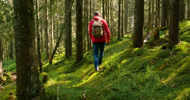 Turista con mochila de senderismo en un viaje de aventura en el paisaje natural — Vídeo de stock