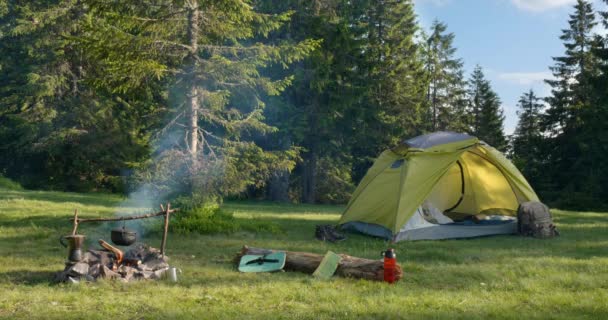 Camping in a clearing in the forest — Vídeos de Stock