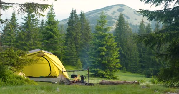 Tenda dan api unggun di rumput hutan di pegunungan — Stok Video