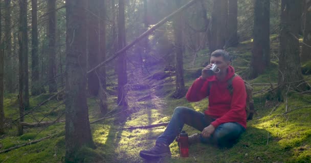 Turista chico bebe agua y descansa sentado en el musgo en un hermoso bosque — Vídeos de Stock