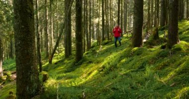 Sırt çantalı turist doğa gezisine çıktı.