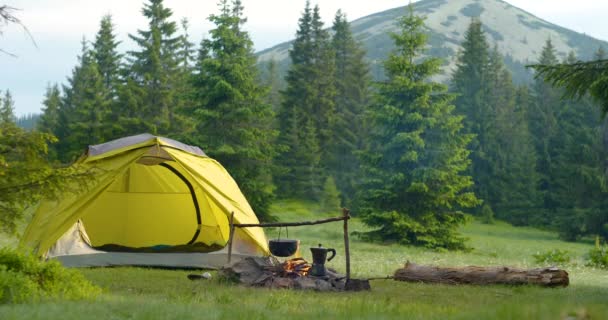 Tent and bonfire on the forest lawn in the mountains — Video Stock