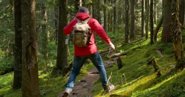 Tourist guy with a backpack runs along a trail in a beautiful forest — Vídeo de stock