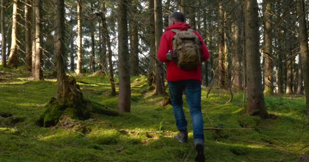 自然景観の中で冒険旅行でバックパックハイキングと観光の男 — ストック動画
