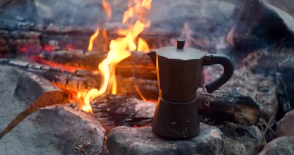 Cafetera cerca del fuego en el bosque — Vídeo de stock
