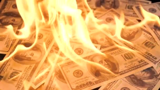 Langzame beweging van dollars geld in brand verloren geld — Stockvideo