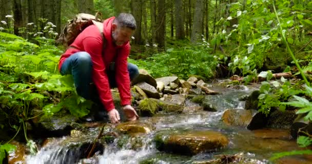 渓流の水を飲むリュックを持つ髭の男 — ストック動画