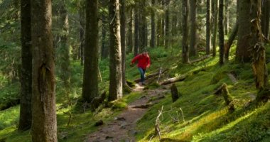 Tourist guy with a backpack runs along a trail in a beautiful forest