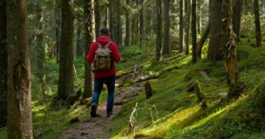 Sırt çantalı turist doğa gezisine çıktı.
