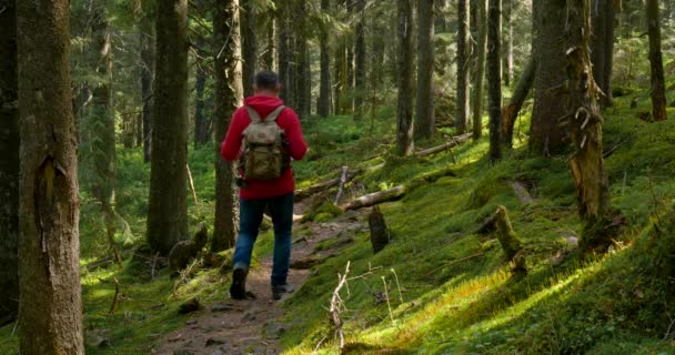 Idegenforgalmi srác hátizsák túrázás egy kaland kirándulás a természeti táj — Stock videók