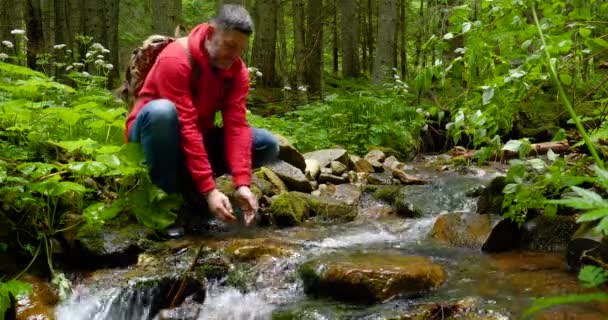 渓流の水を飲むリュックを持つ髭の男 — ストック動画