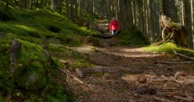 Büyük sırt çantalı turist doğa gezisine çıktı.