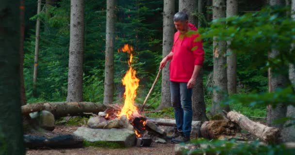 Skäggig manlig turist nära lägereld i skogen — Stockvideo