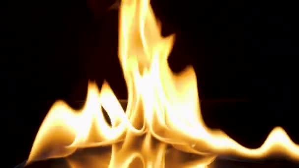 Огненное пламя на черном фоне — стоковое видео