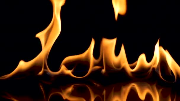 Prise de vue au ralenti des flammes de feu isolées sur fond noir — Video