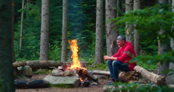 숲 속의 모닥불 근처에 있는 수염을 기른 수컷 관광객 — 비디오