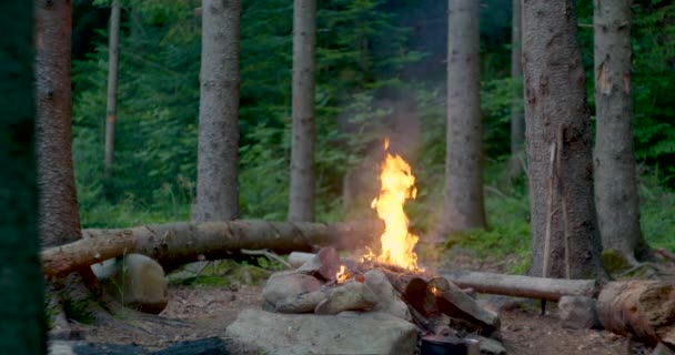 Bonfire in een prachtig bos — Stockvideo