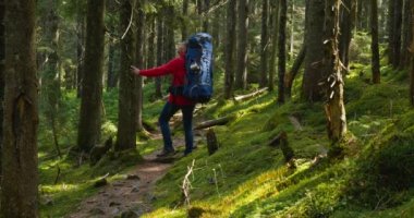 Sırt çantalı bir turist güzel bir ormanda yol boyunca yürür.