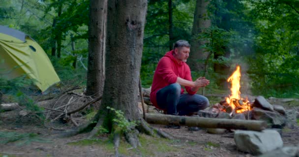Sakallı erkek turist ormandaki kamp ateşinin yanında — Stok video