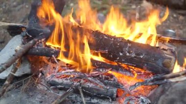 Kamp ateşinin şenlik ateşi yakın plan görüntüsü