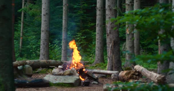 Vista de la llama de la fogata en un claro bosque — Vídeo de stock