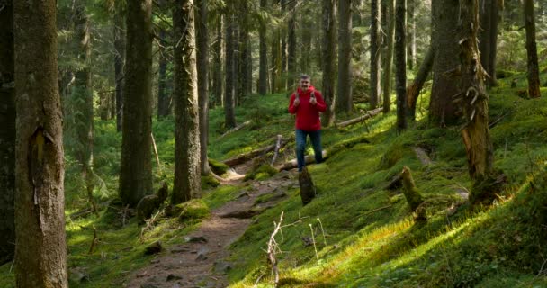 Туристичний хлопець з рюкзаком йде по стежці в прекрасному лісі — стокове відео