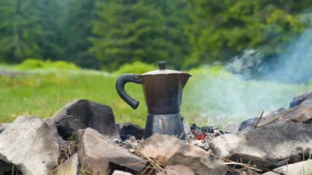 Koffie wordt bereid in een geiser koffiezetapparaat op een kampvuur in het bos — Stockvideo