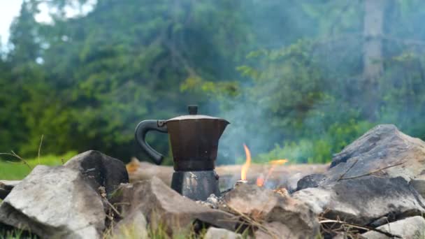 Il caffè è preparato in una caffettiera geyser su un falò nella foresta — Video Stock