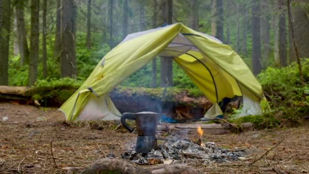 Kaffekanna nära eld och tält i den vackra skogen — Stockvideo