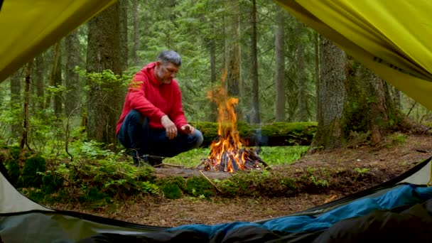 Egy szakállas férfi sütkérezik egy tűz mellett egy gyönyörű erdőben. — Stock videók
