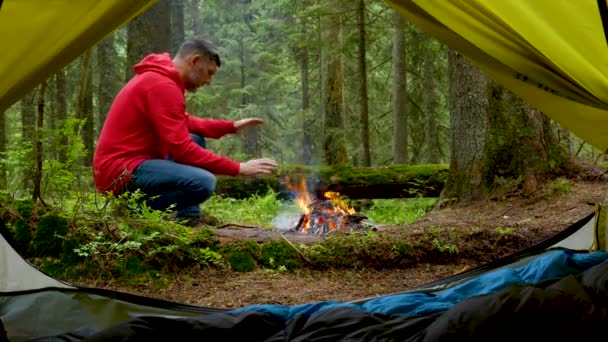 Bearded man by the fire in a beautiful forest — Stock Video