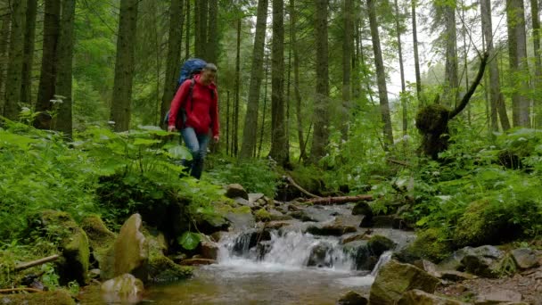 Человек с рюкзаком пересекает горный ручей в лесу — стоковое видео
