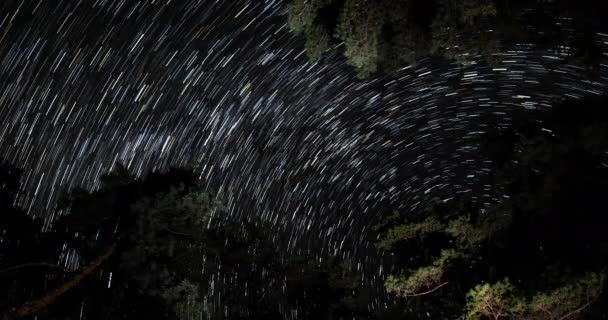 Μονοπάτια αστεριών στο νυχτερινό ουρανό — Αρχείο Βίντεο
