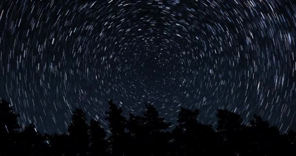 Sentiers étoilés dans le ciel nocturne — Video