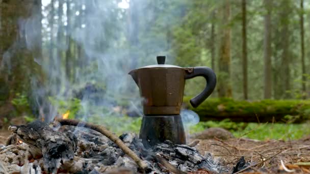 Кава готується в гейзері на багатті в лісі — стокове відео